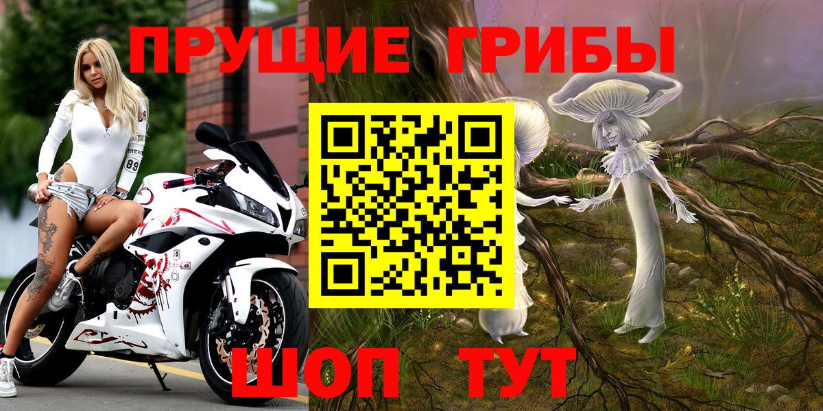 Галлюциногенные грибы GOLDEN TEACHER  Галлюциногенные грибы Psilocybe  Тайшет  Вход с VPN 
