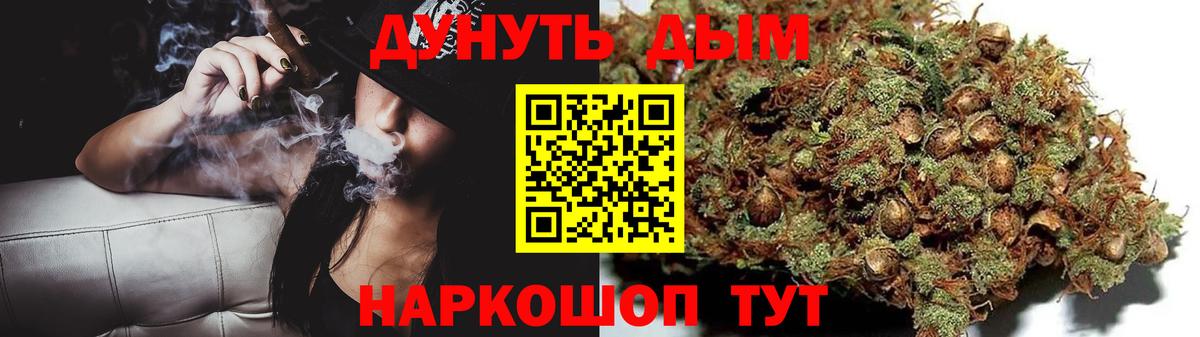 Канабис ГИДРОПОН  Бошки Шишки марихуана  Тайшет  Бошки Шишки марихуана  Вход с VPN  Конопля план 